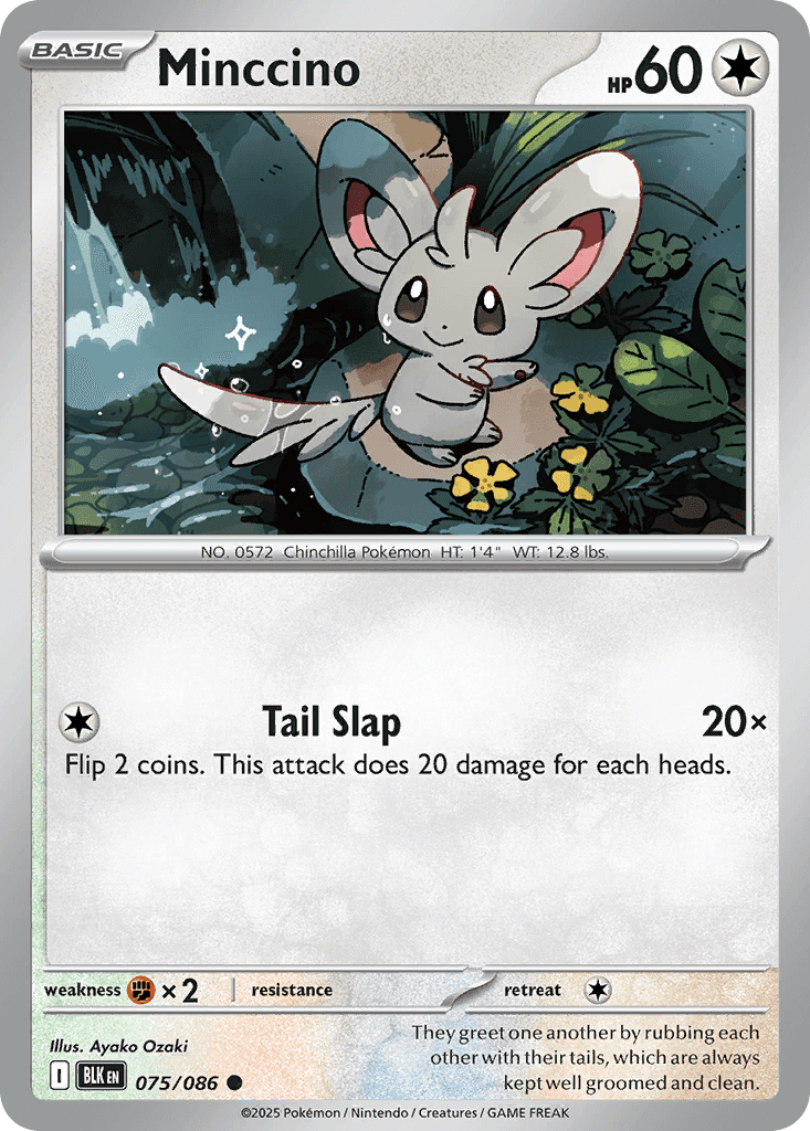 Minccino