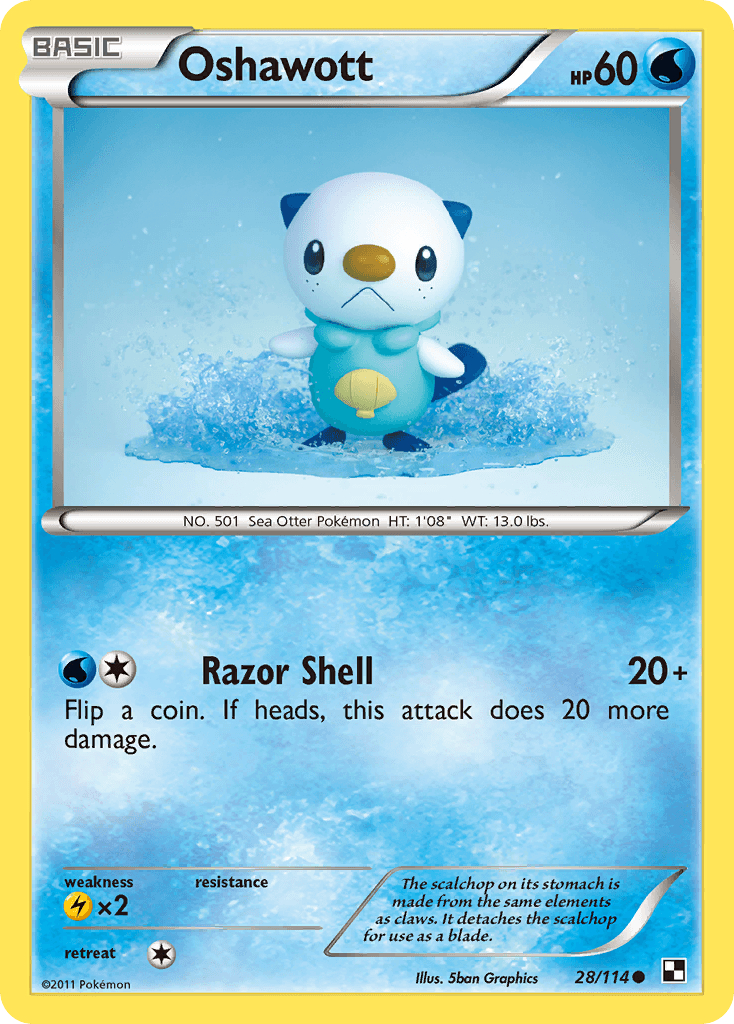 Oshawott from Black & White