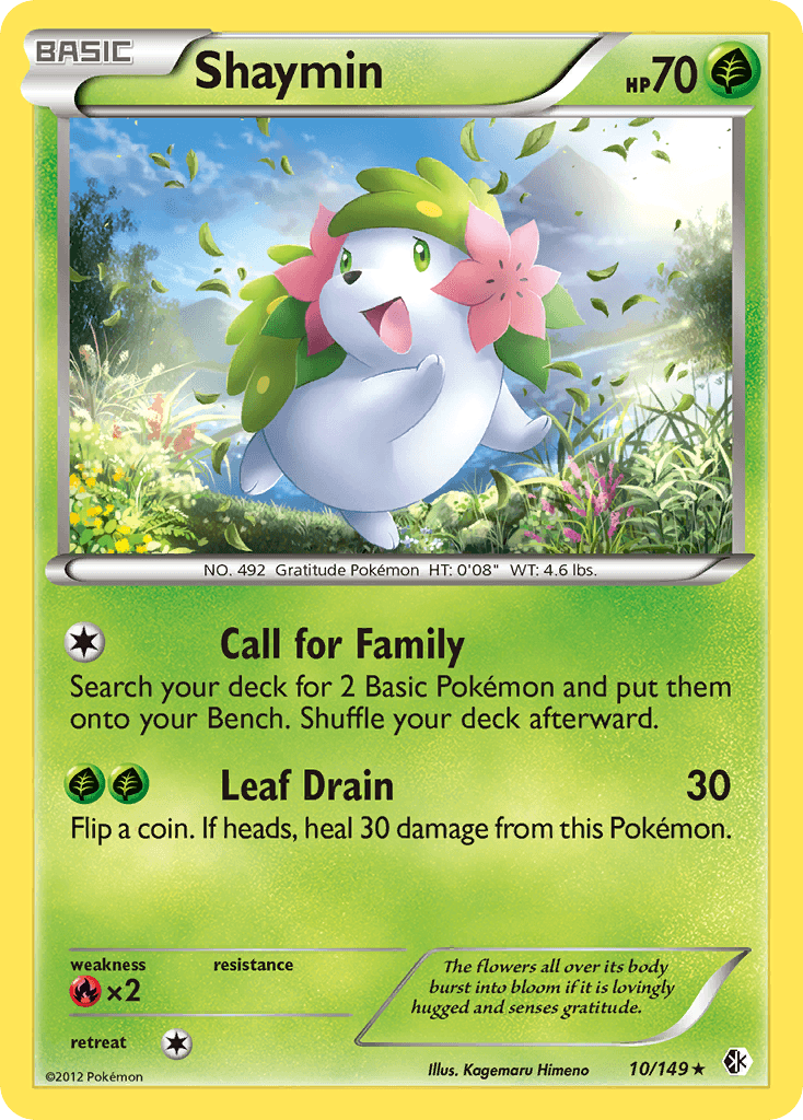 Shaymin from Boundaries Crossed