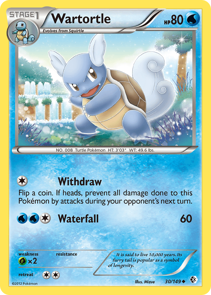 Wartortle from Boundaries Crossed