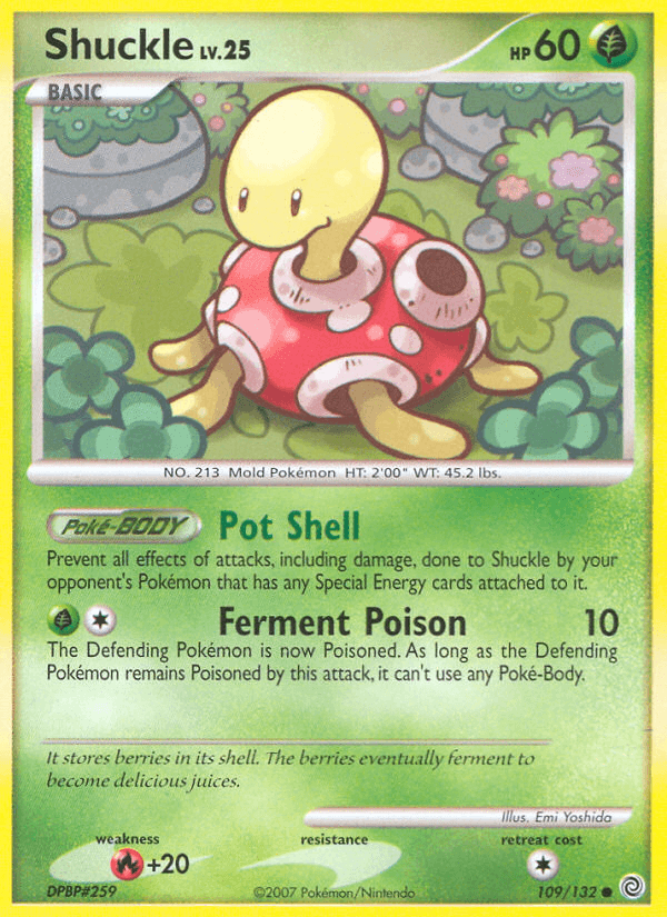 Shuckle from Secret Wonders