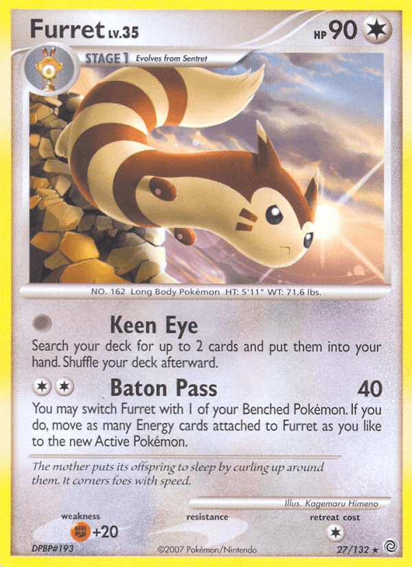 Furret from Secret Wonders
