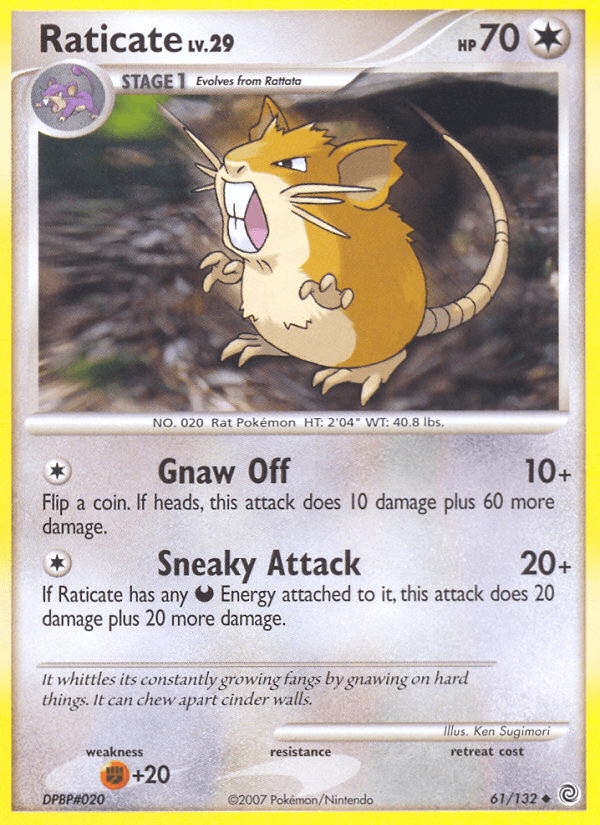 Raticate from Secret Wonders