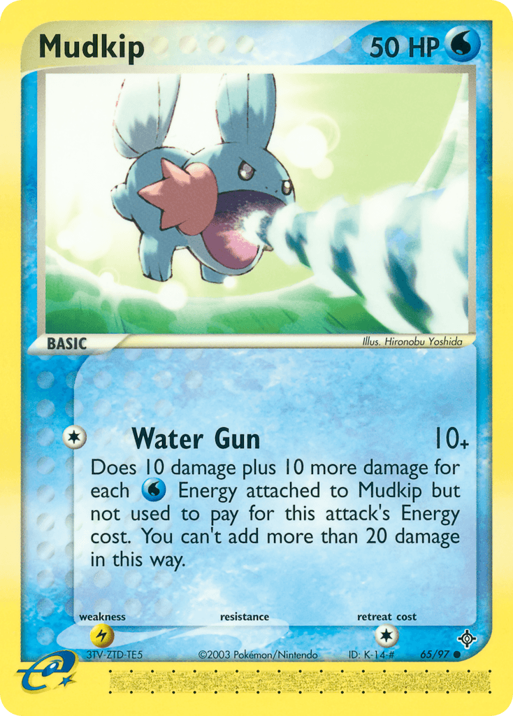 Mudkip from Dragon