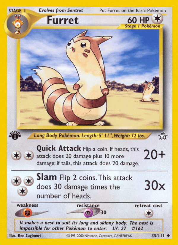 Furret from Neo Genesis