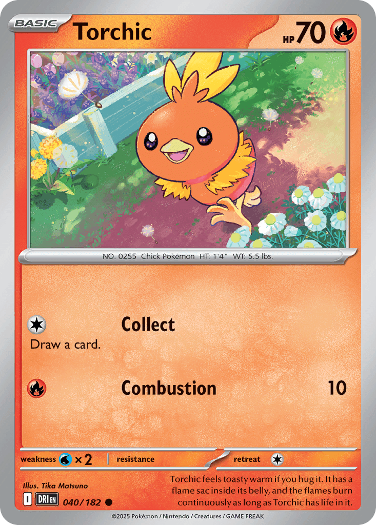 Torchic from Destined Rivals