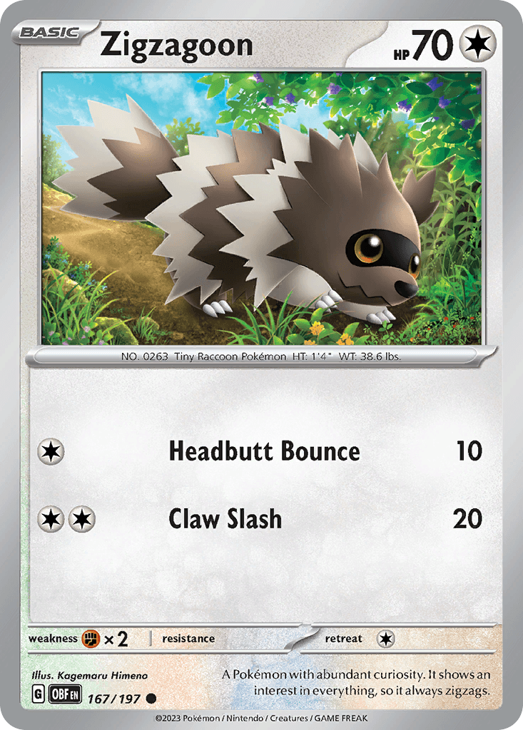 Zigzagoon from Obsidian Flames