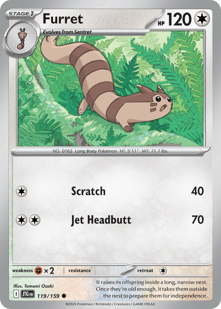 Furret from Journey Together