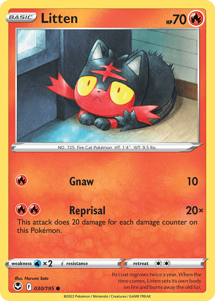Litten from Silver Tempest