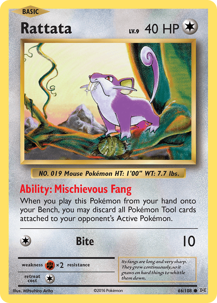 Rattata from Evolutions