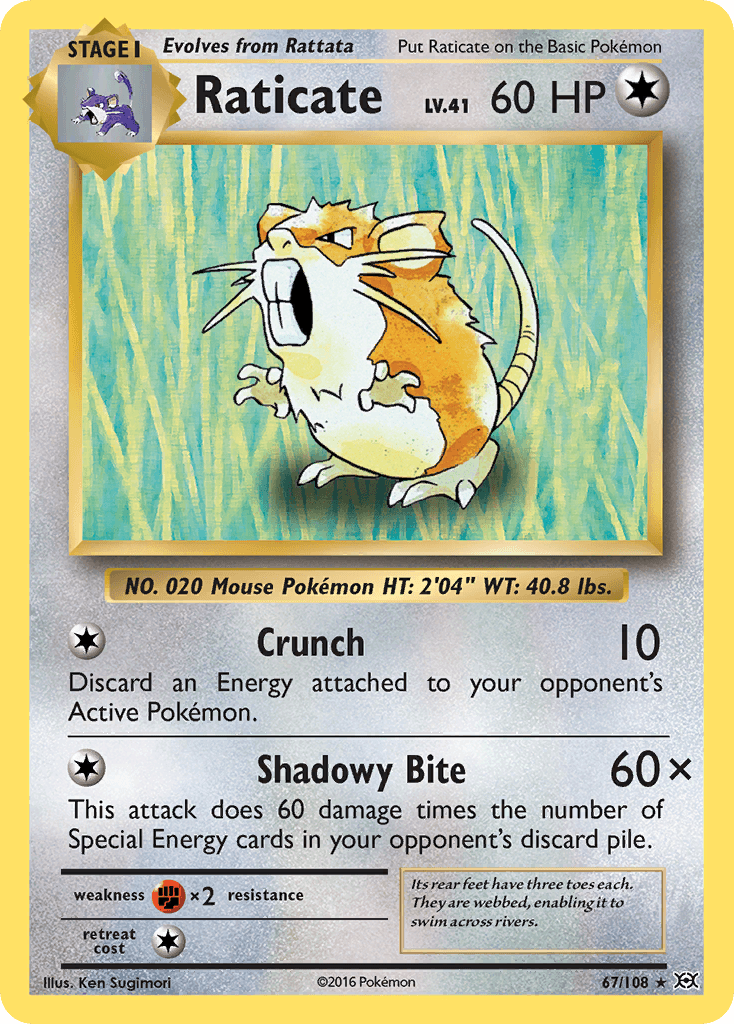 Raticate from Evolutions