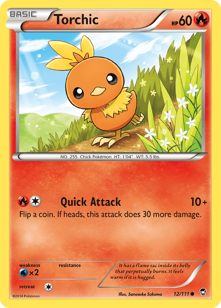 Torchic from Furious Fists