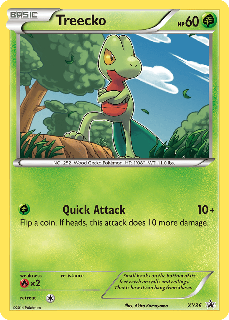 Treecko from XY Black Star Promos