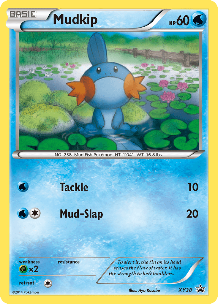 Mudkip from XY Black Star Promos