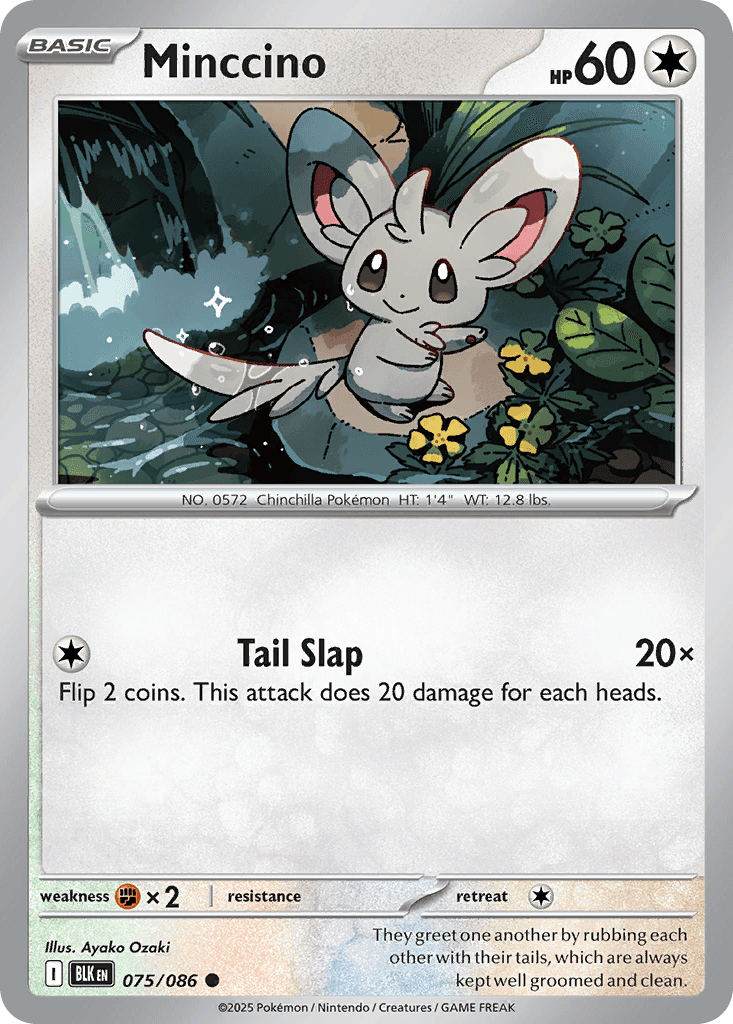 Minccino from Black Bolt