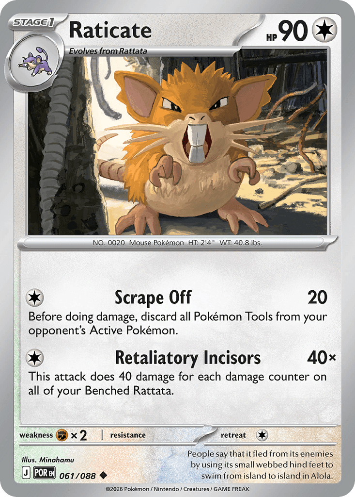 Raticate from Perfect Order