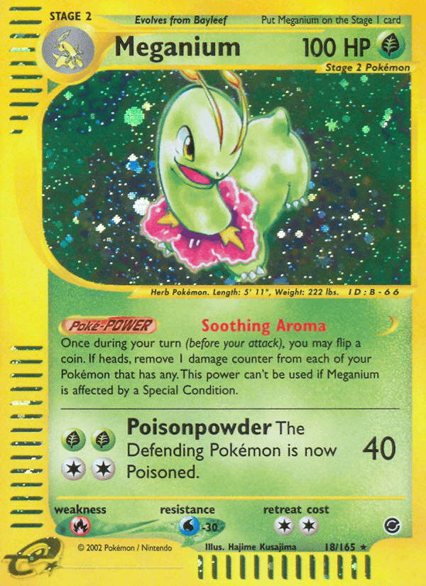 Meganium from Expedition Base Set