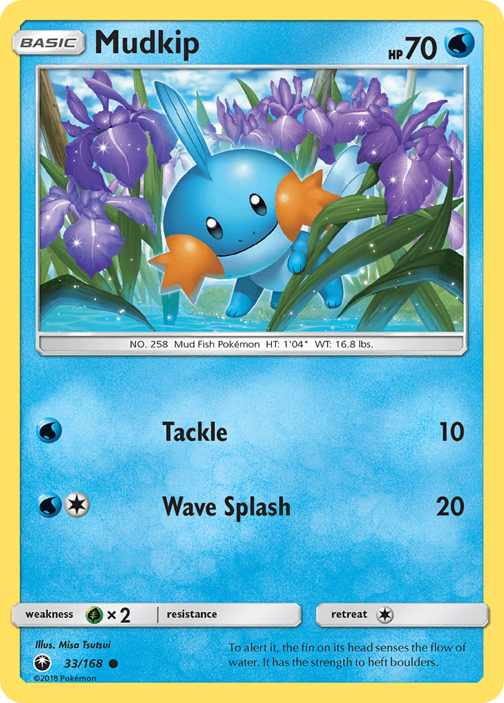 Mudkip from Celestial Storm