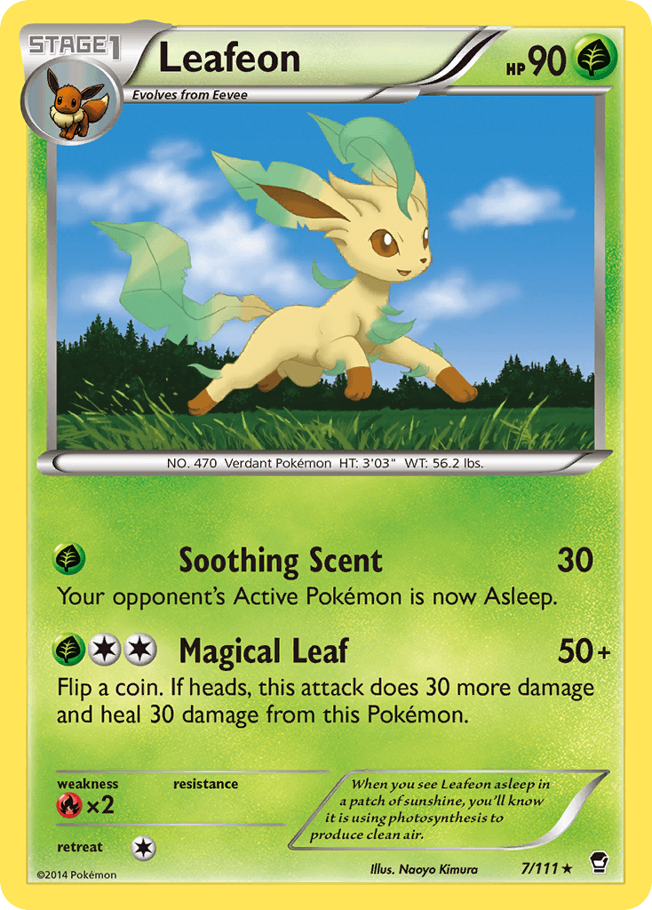 Leafeon from Furious Fists
