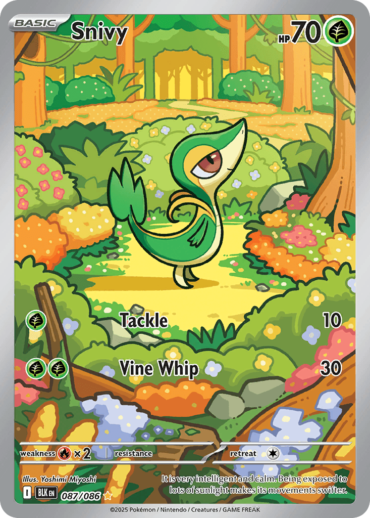 Snivy from Black Bolt